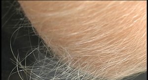 Hairy Arms invites you to browse their xxx photos with Lori Anderson xxx gallery 148485